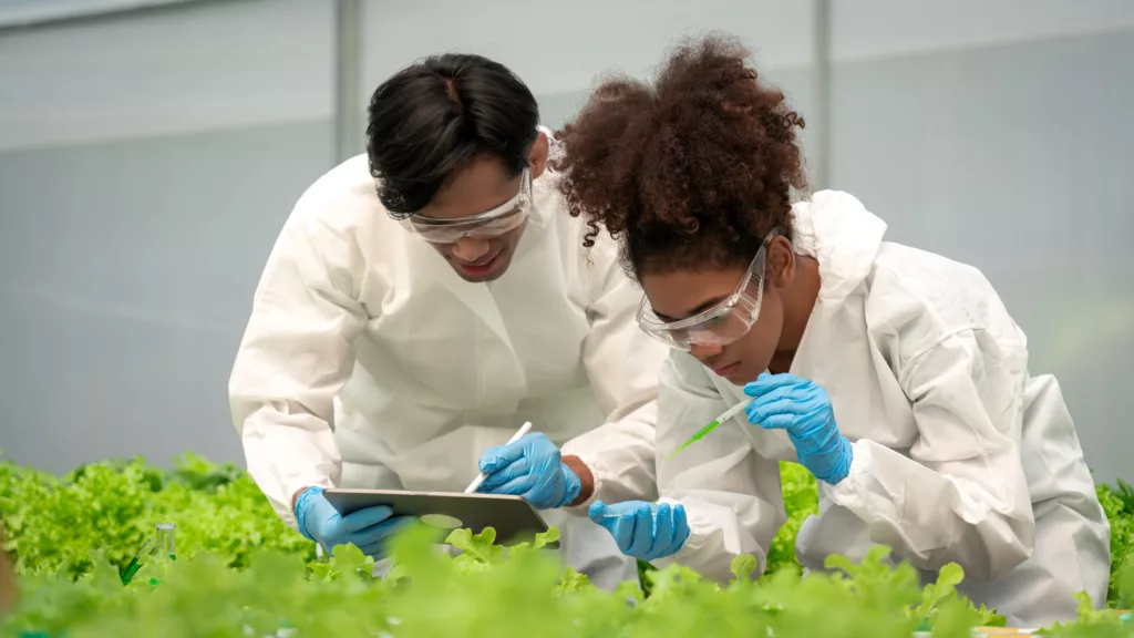 Duas cientistas em macacão de proteção avaliando cultivos em estufa, com tablet em mãos