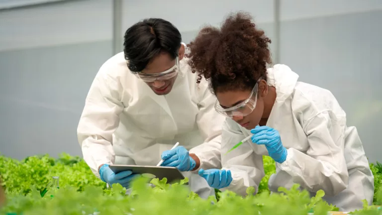 Duas cientistas em macacão de proteção avaliando cultivos em estufa, com tablet em mãos